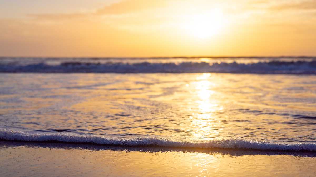 Le spiagge più belle di Trapani: sabbia, calette e spiagge libere (2026)