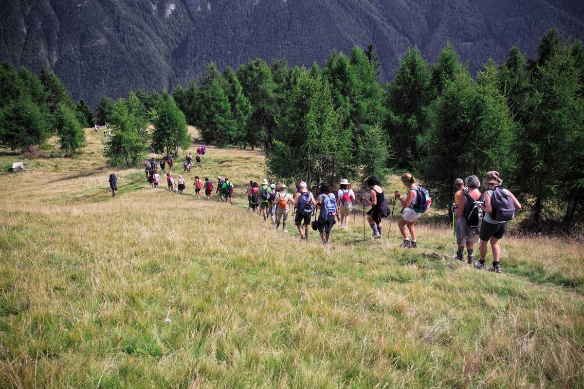 Panorama naturale di Ragusa, con colline e vegetazione